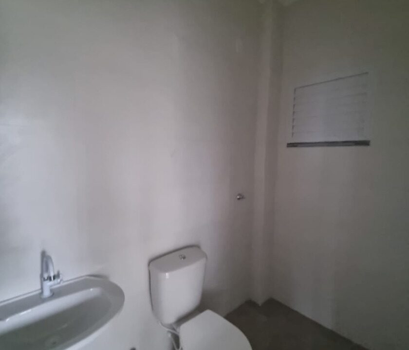 i49254_foto5